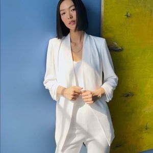 Aritzia Babaton Power Blazer White